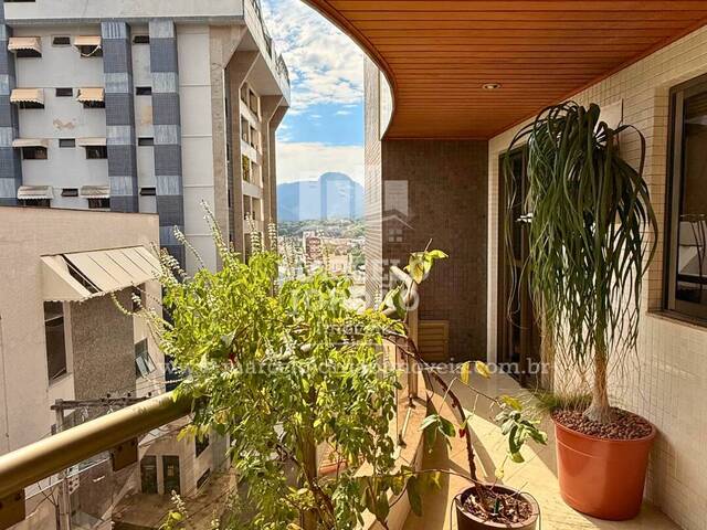 Apartamento para Comprar em Cachoeiro de Itapemirim - 5