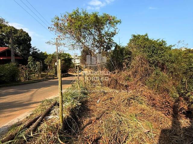 #542 - Terreno para Comprar em Anchieta - ES - 1