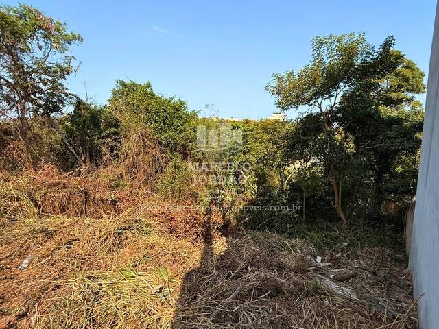 #542 - Terreno para Comprar em Anchieta - ES - 2